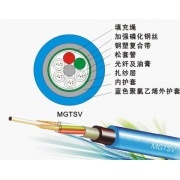 天潤一舟電纜集團 以卓越品質引領網絡布線工程新未來